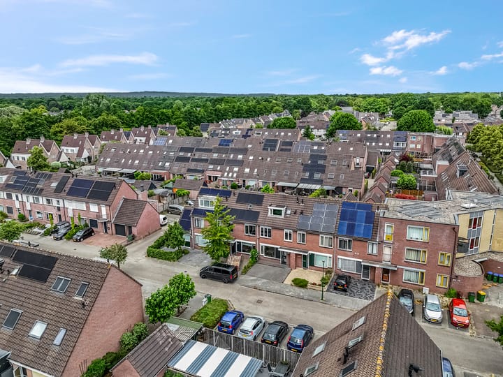 Foto 34 van Zebravink 8