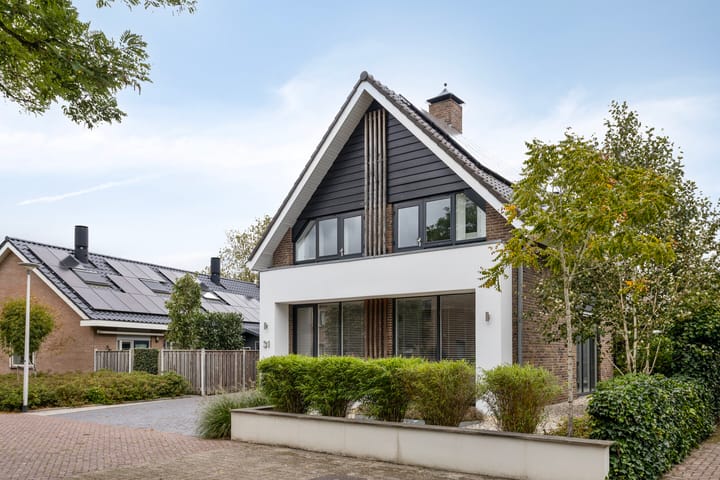 Foto 38 van de Marsjes 31