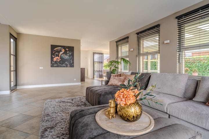 Foto 13 van Watersnip 31