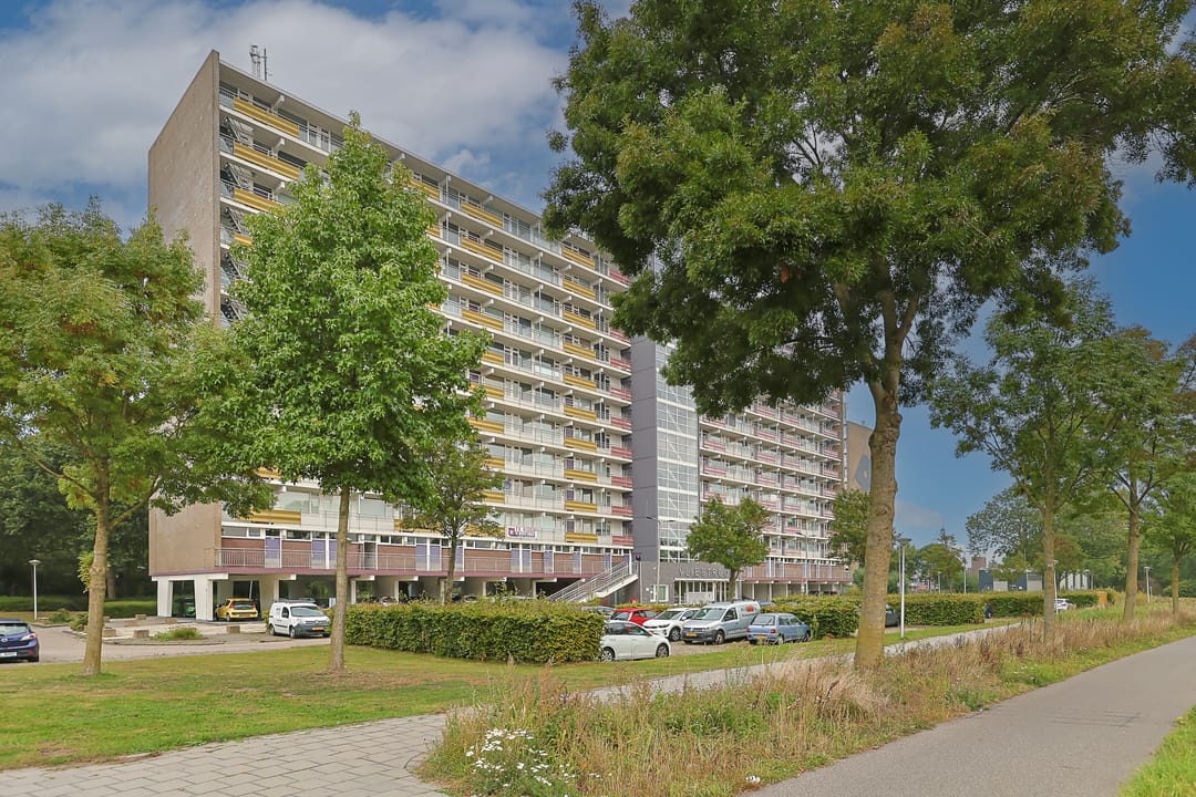 Foto 2 van Vliestroom 178