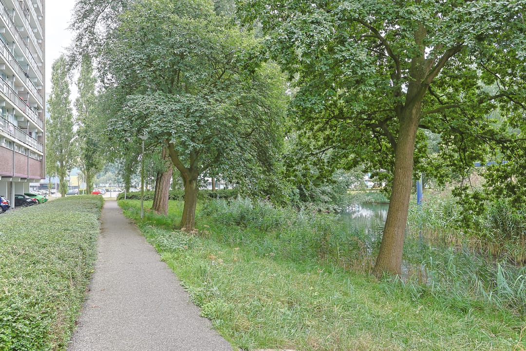 Foto 41 van Vliestroom 178