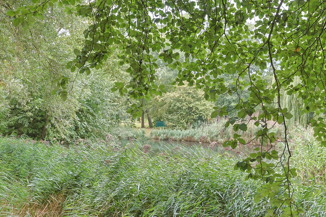 Foto 43 van Vliestroom 178