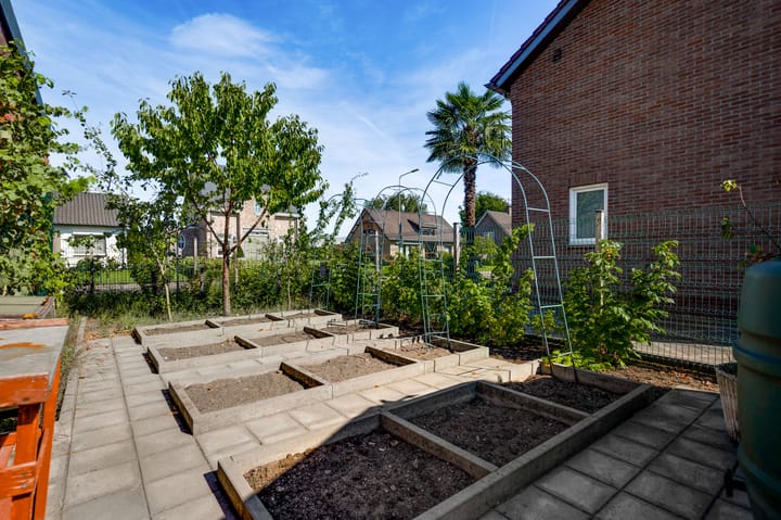 Foto 50 van Dorpstraat 100