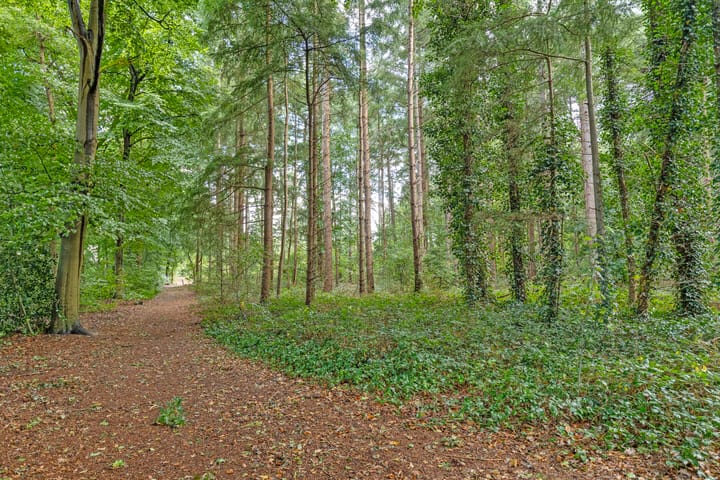 Foto 50 van Bosweg 6-D