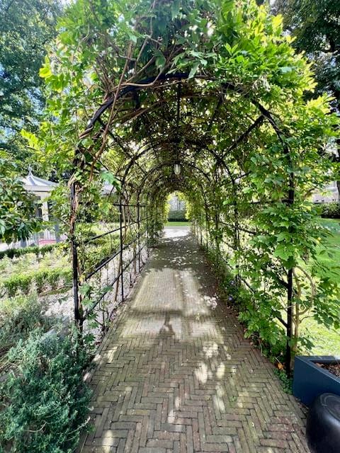 Foto 4 van Sophialaan 6-D