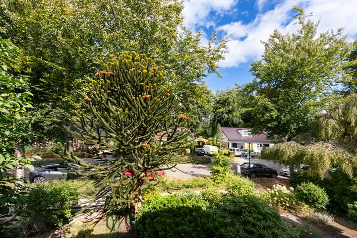 Photo 40 of Beukenlaan 36