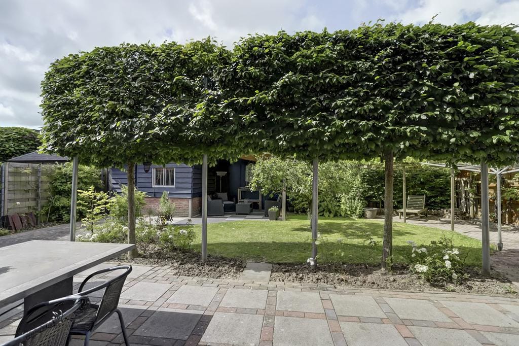 Photo 46 of Wolfertlaan 2