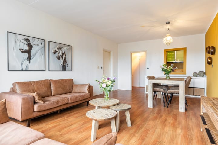 Foto 8 van Loolaan 27-75