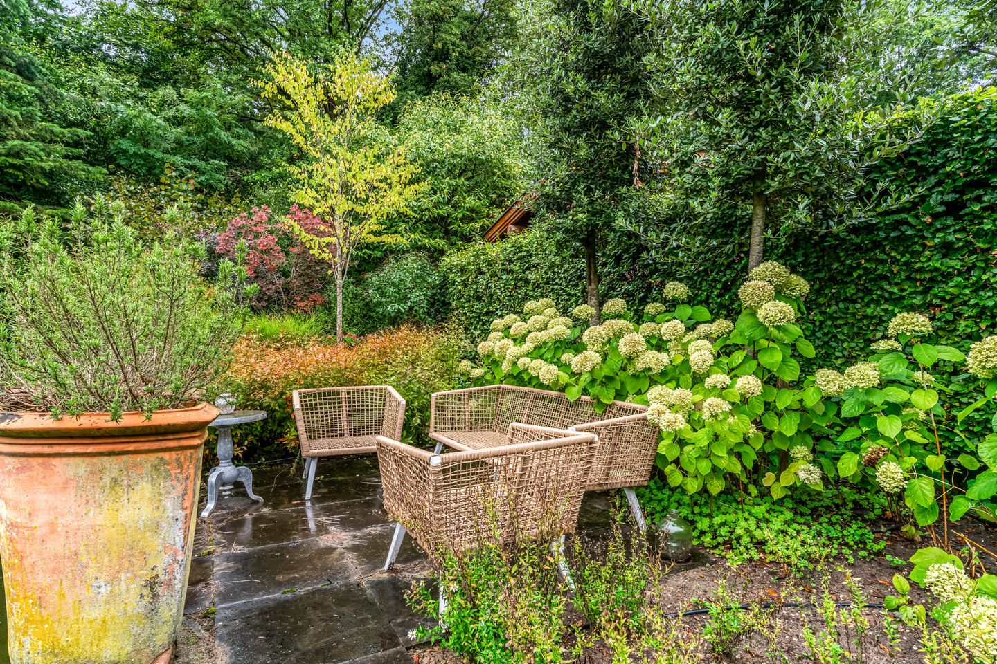 Foto 40 van Krakelingweg 53