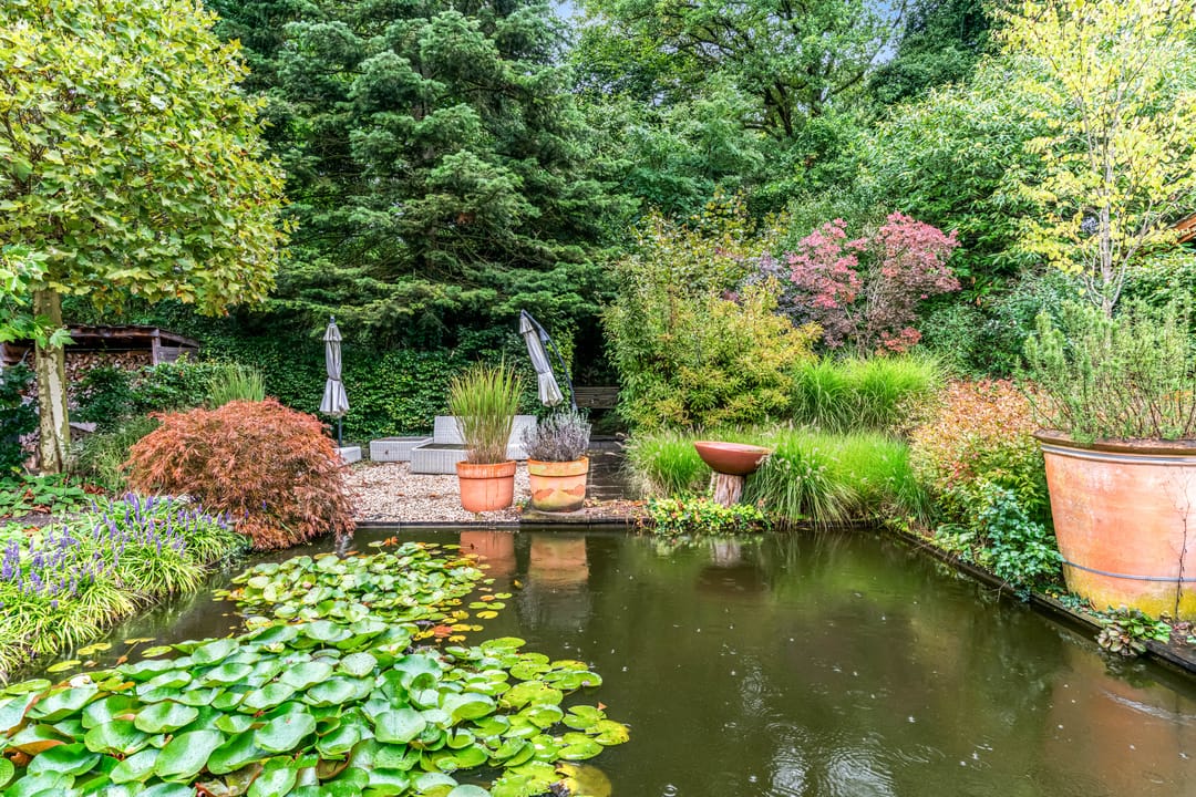 Foto 41 van Krakelingweg 53