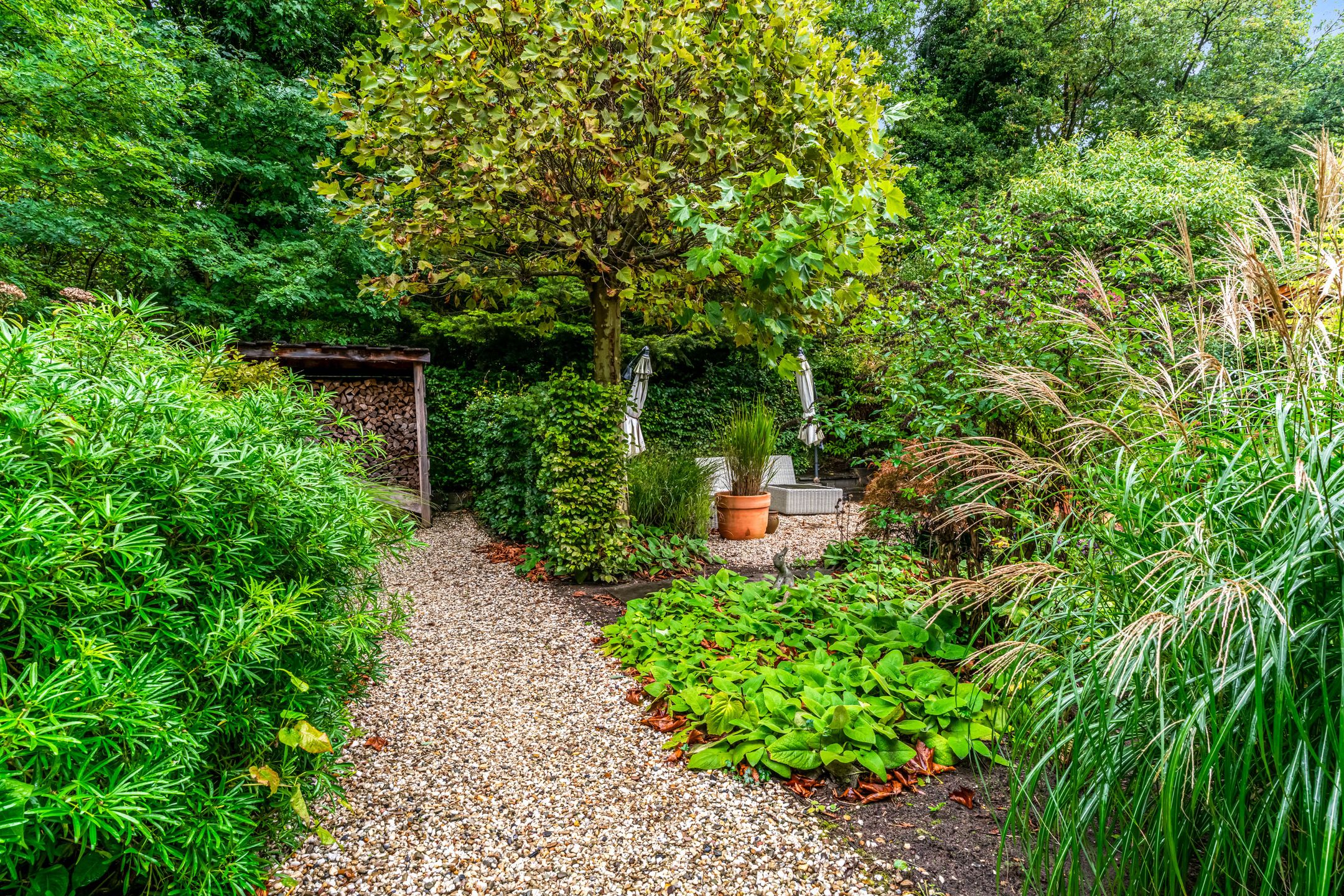 Foto 42 van Krakelingweg 53