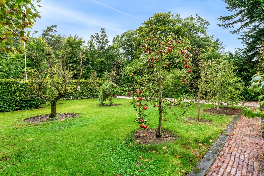 Foto 52 van Krakelingweg 53