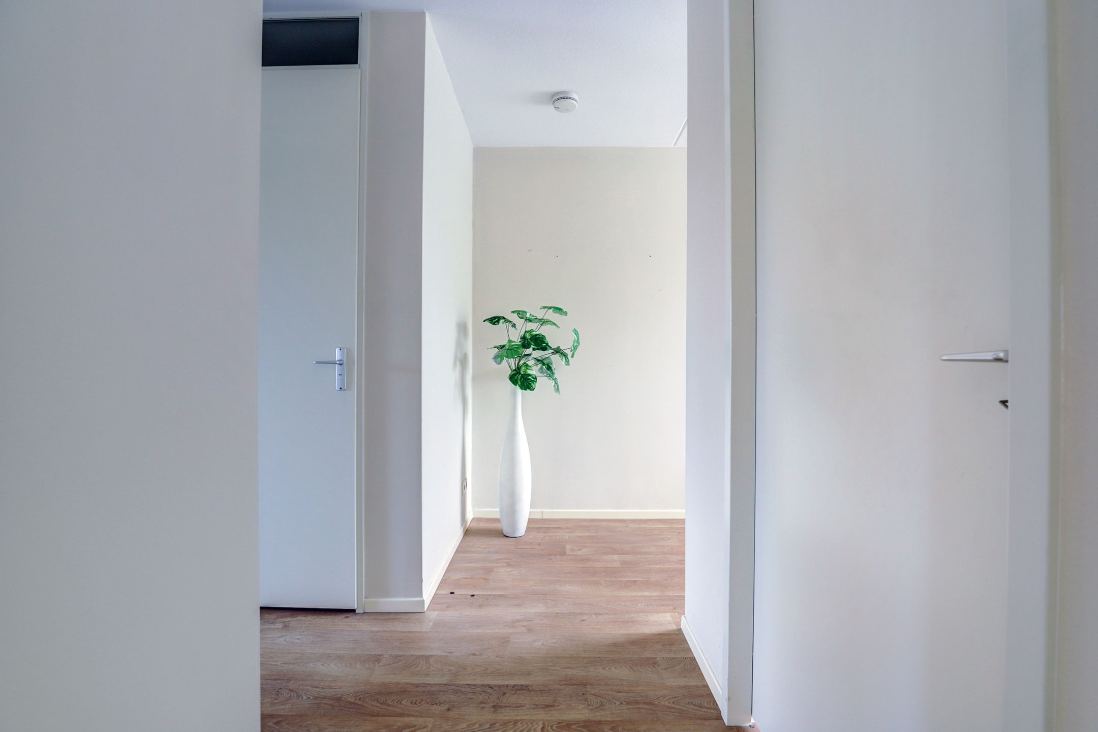 Foto 18 van Dikkeboomweg 40