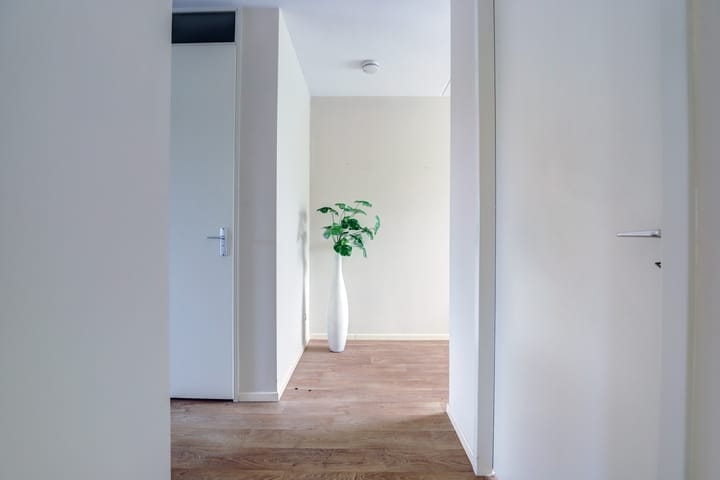 Photo 18 of Dikkeboomweg 40