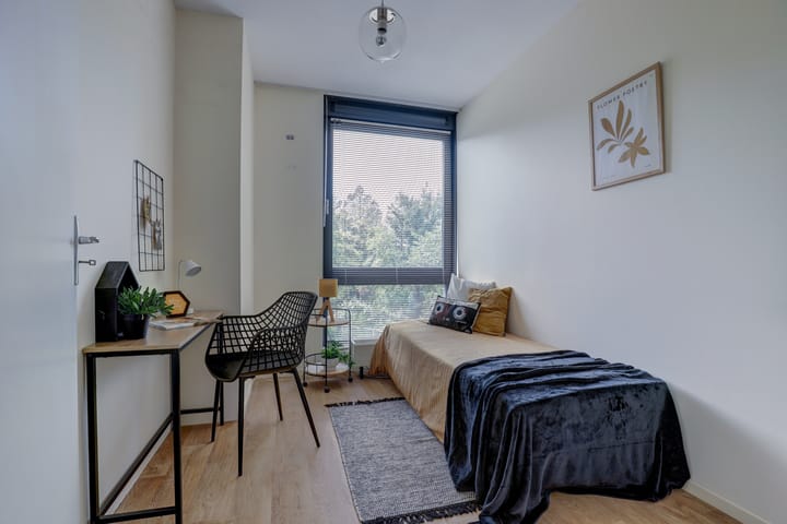 Photo 22 of Dikkeboomweg 40