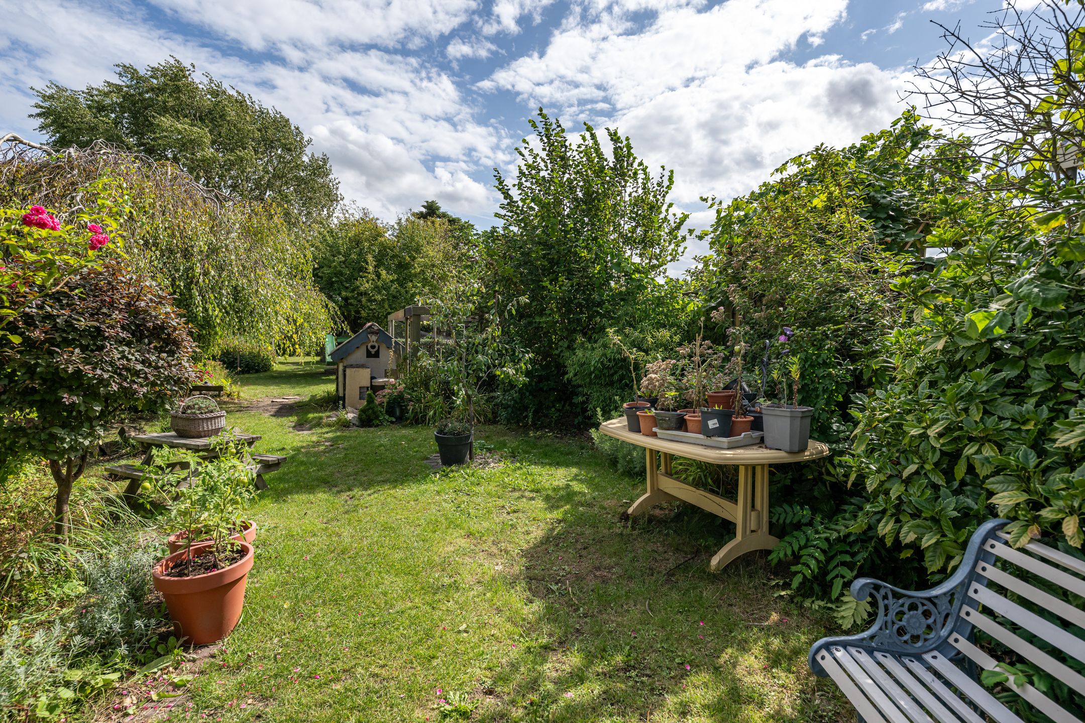 Photo 24 of Nieuweweg 71