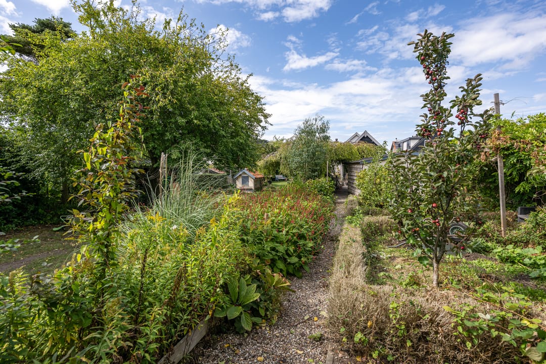 Photo 26 of Nieuweweg 71