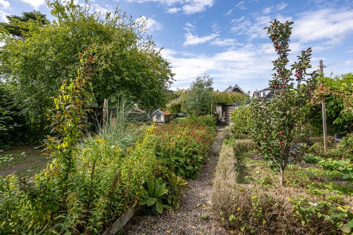 Foto 26 van Nieuweweg 71