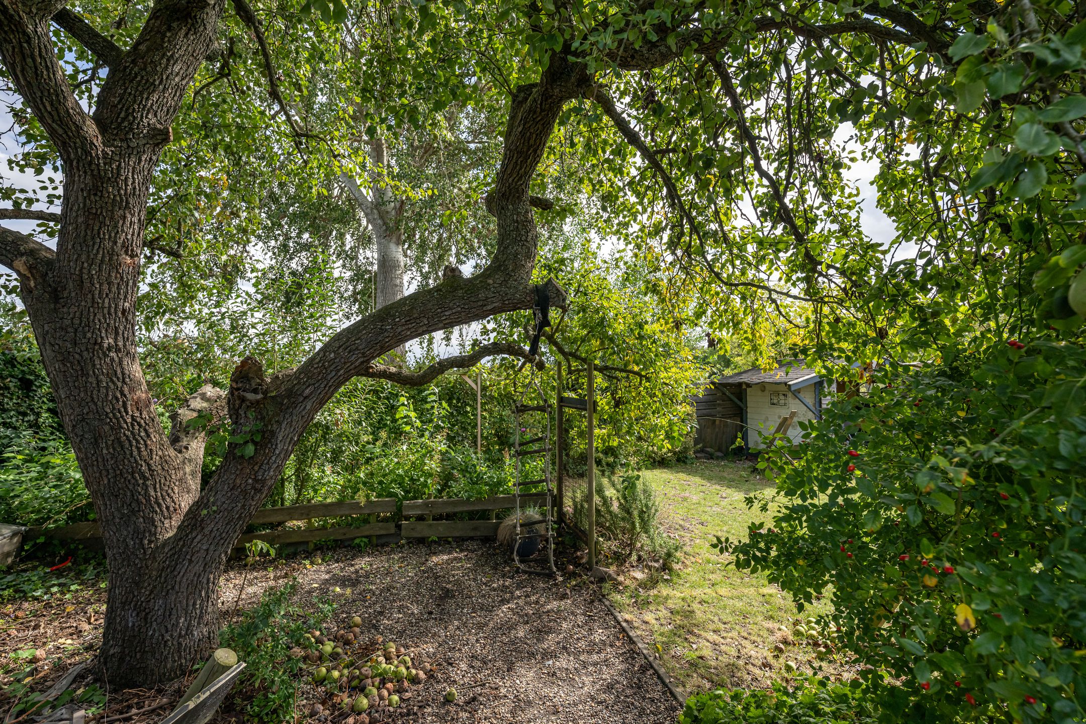 Photo 27 of Nieuweweg 71