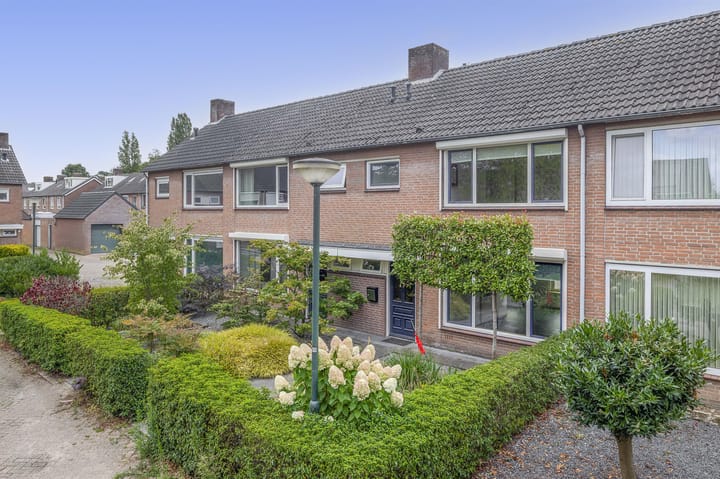 Foto 36 van den Drink 8