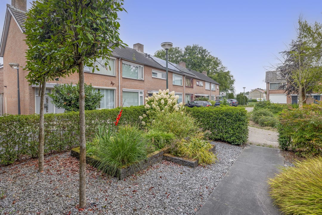 Foto 37 van den Drink 8