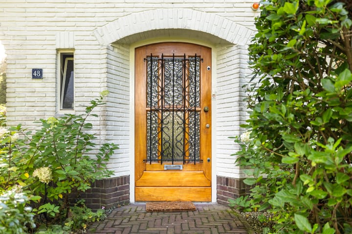 Foto 3 van Pieter Jelles Troelstralaan 48