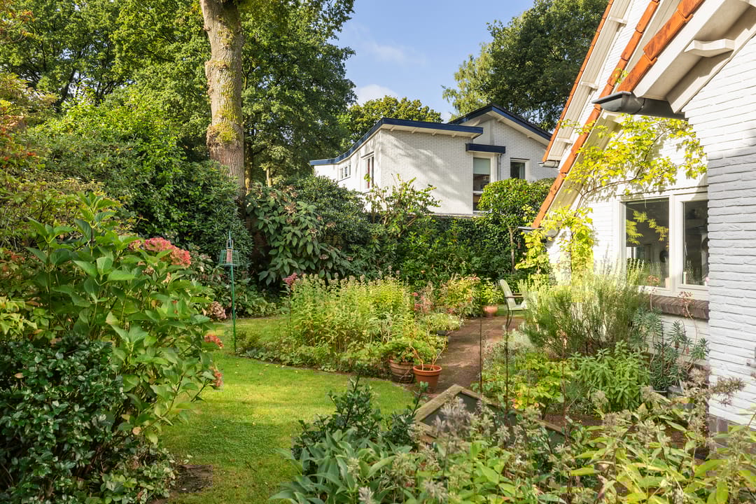 Foto 23 van Pieter Jelles Troelstralaan 48