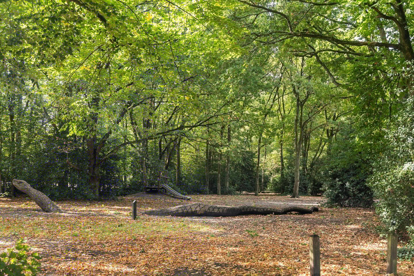 Foto 50 van Pieter Jelles Troelstralaan 48