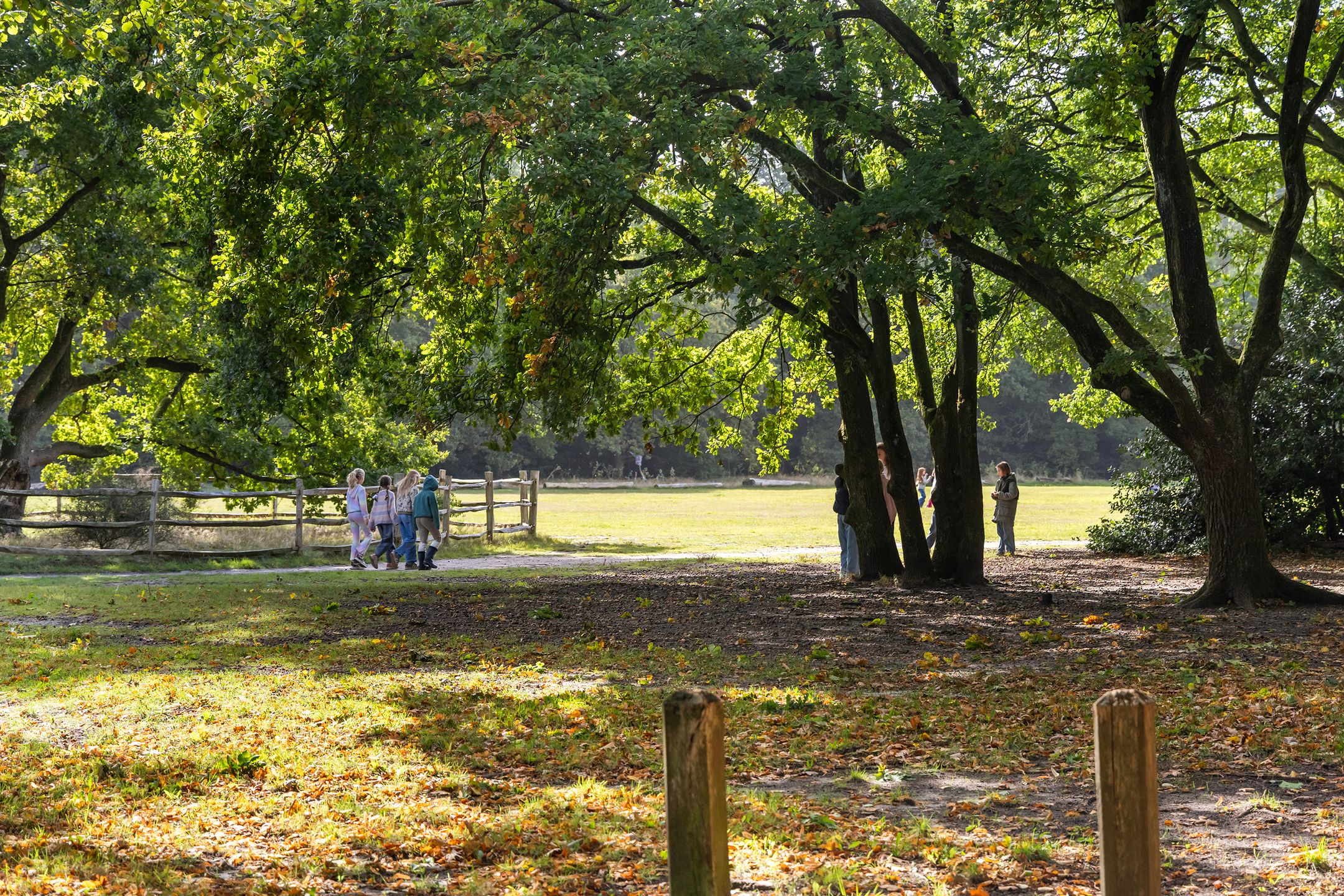 Foto 51 van Pieter Jelles Troelstralaan 48