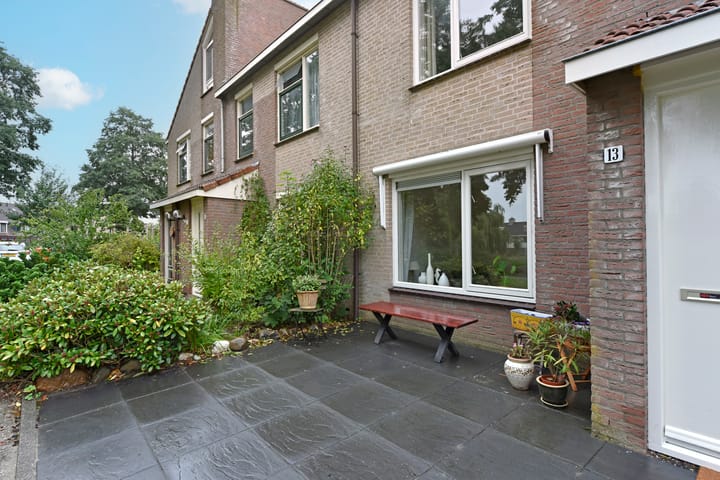 Foto 4 van Glaskruid 13