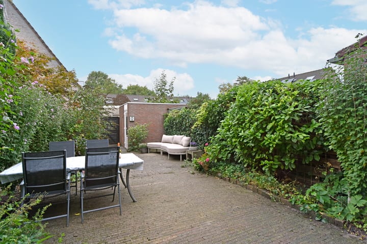 Foto 2 van Glaskruid 13