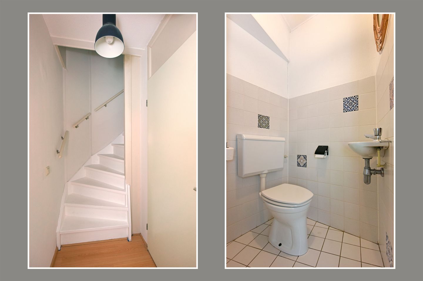 Foto 5 van Glaskruid 13