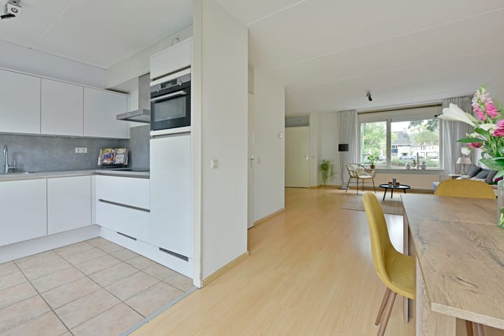 Foto 10 van Glaskruid 13