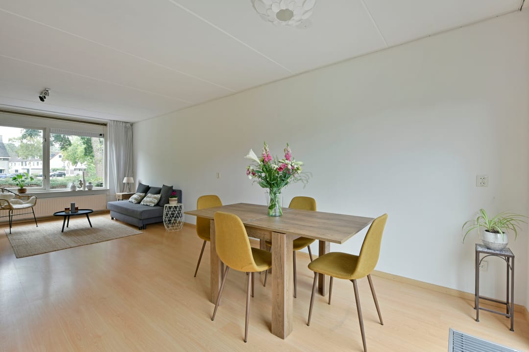 Foto 11 van Glaskruid 13