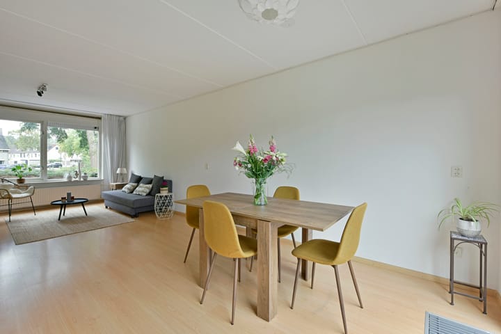 Foto 11 van Glaskruid 13