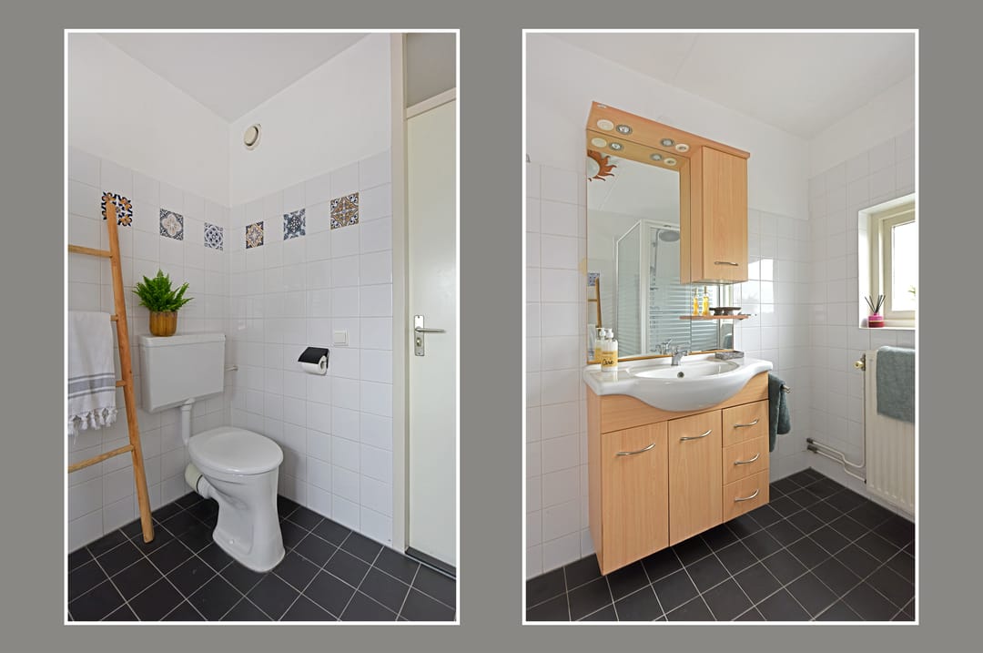 Foto 16 van Glaskruid 13