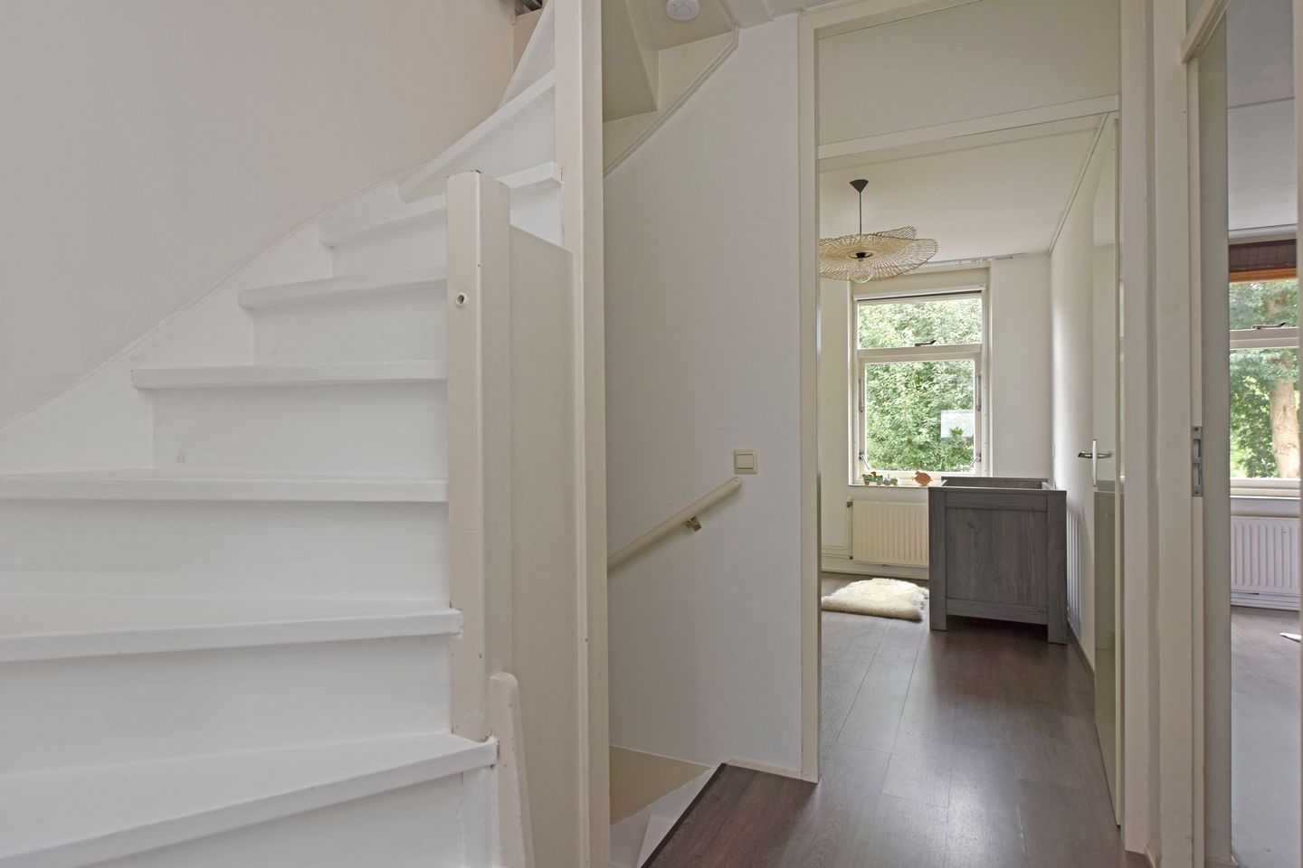 Foto 14 van Glaskruid 13