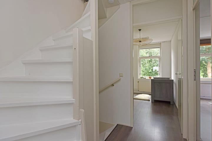 Foto 14 van Glaskruid 13