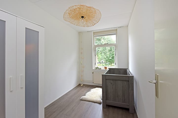 Foto 20 van Glaskruid 13