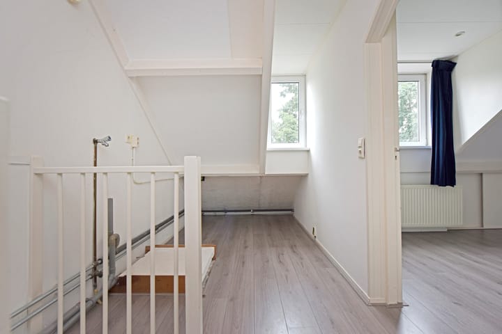 Foto 21 van Glaskruid 13