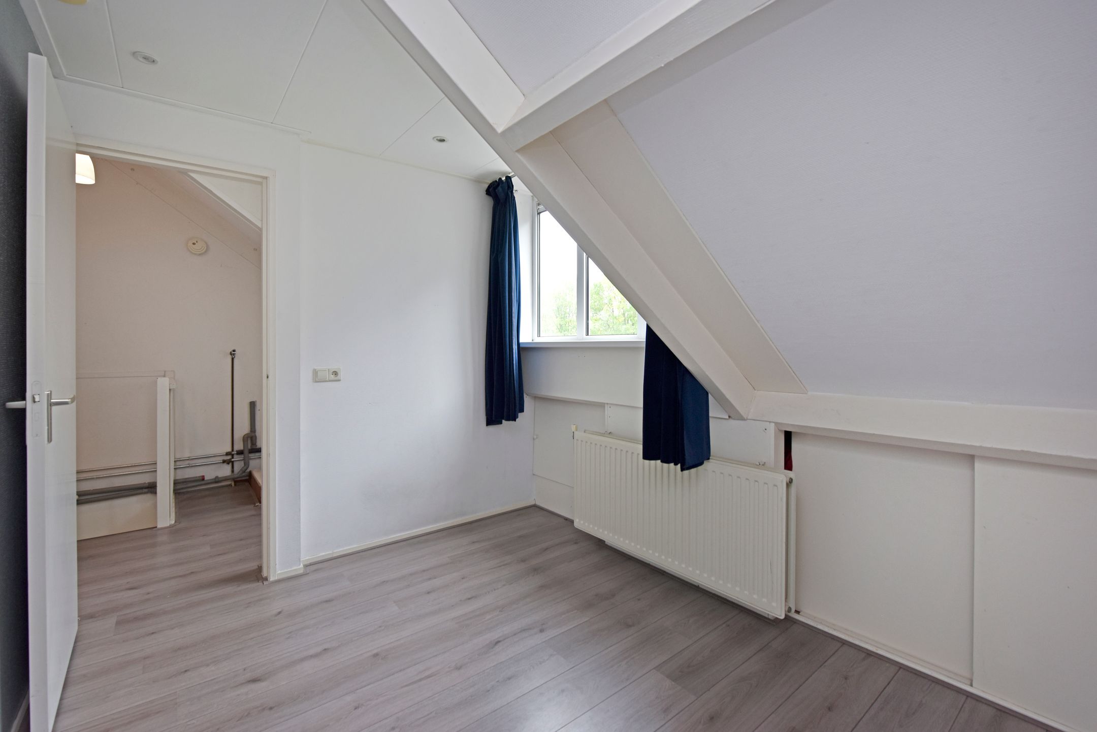 Foto 24 van Glaskruid 13