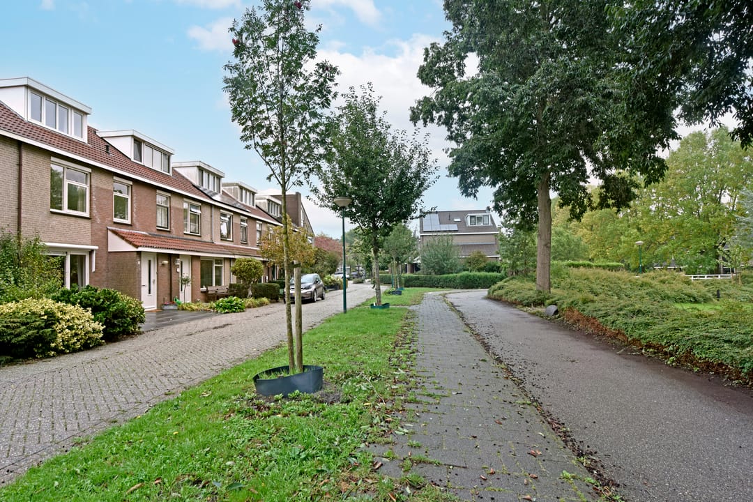 Foto 28 van Glaskruid 13