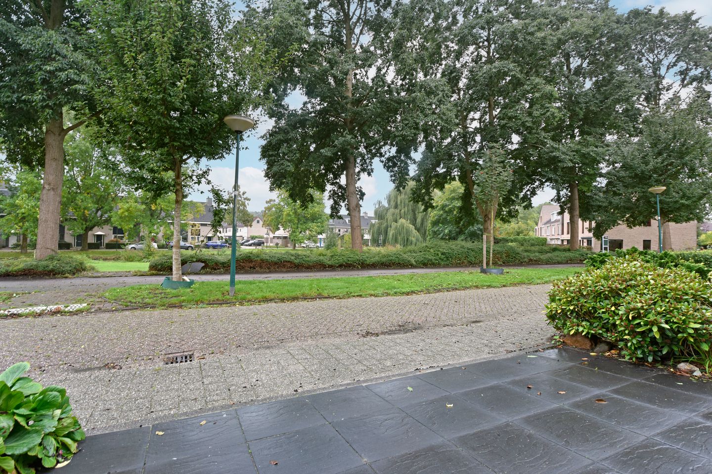 Foto 29 van Glaskruid 13