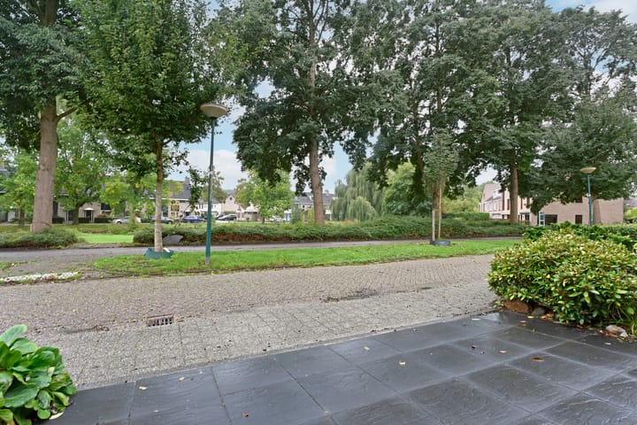 Foto 29 van Glaskruid 13