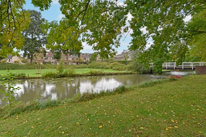 Foto 30 van Glaskruid 13