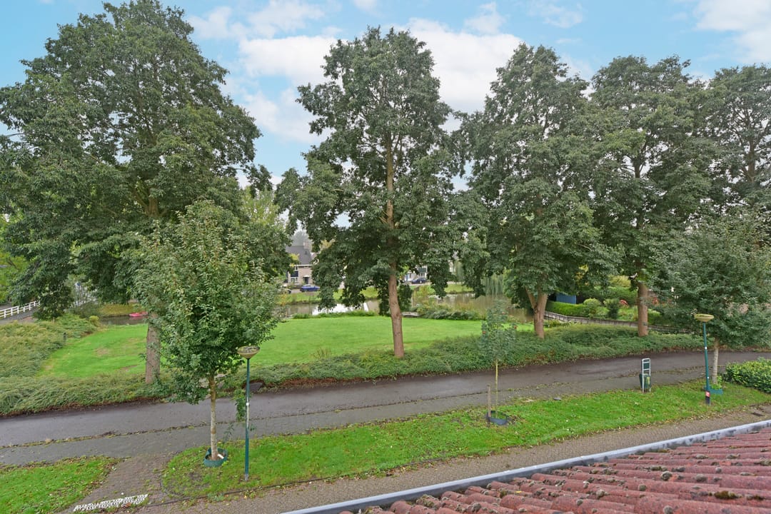 Foto 31 van Glaskruid 13