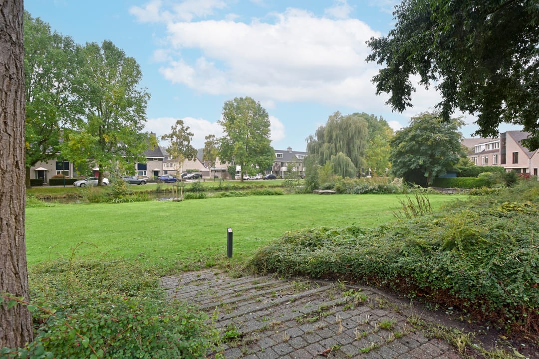 Foto 32 van Glaskruid 13