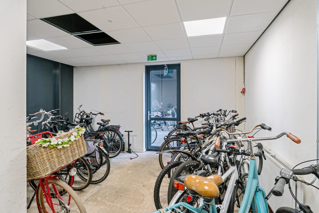 Photo 17 of The Rhino