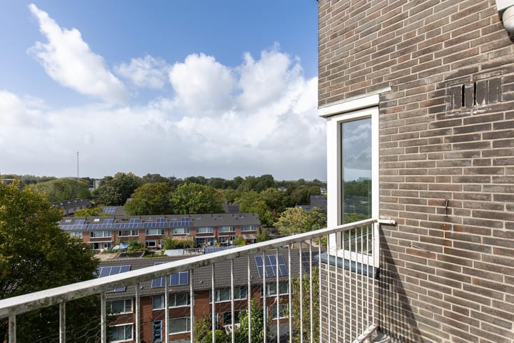 Foto 11 van Graan voor Visch 16264