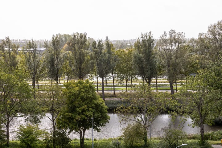 Foto 13 van Graan voor Visch 16264